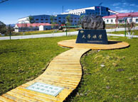 山东天华矿业集团